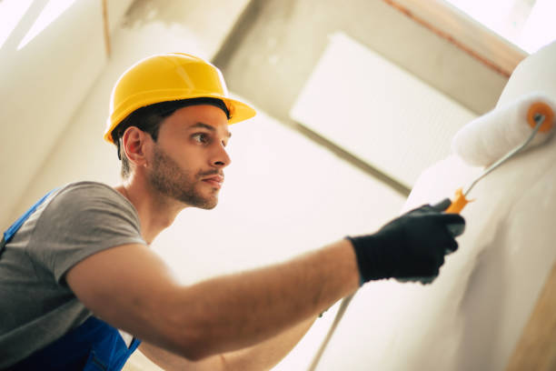 Why Nevis Paints is the Best Choice in London for Your Next Painting Project